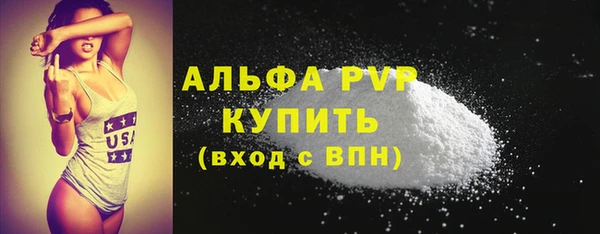 стаф Абинск
