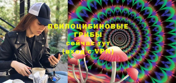 spice Абаза