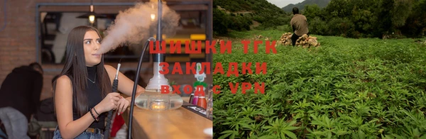 молекула духа Сафоново