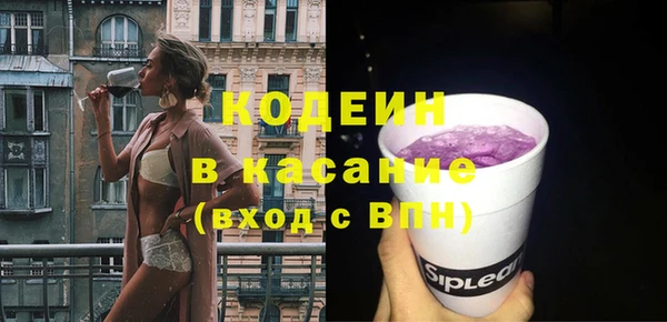 гашик Алексеевка