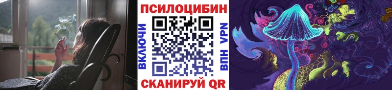 Галлюциногенные грибы GOLDEN TEACHER  купить наркотик  маркетплейс как зайти  Кизилюрт 